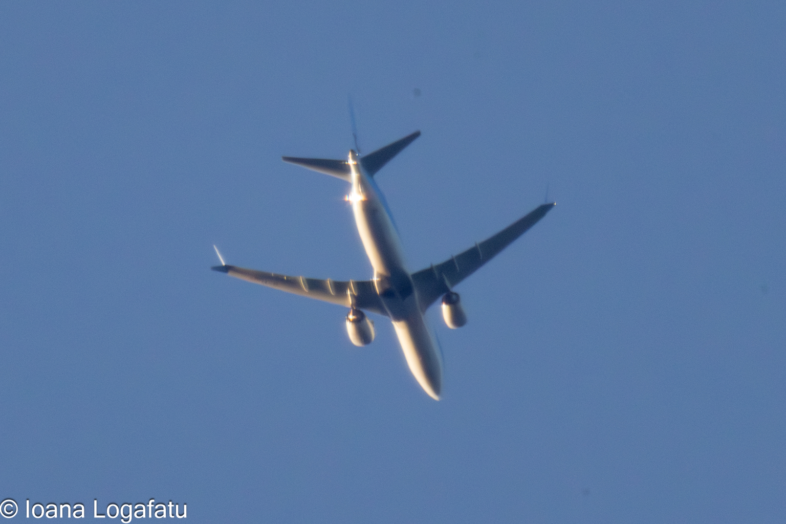Airborne adventure above the bustling city skyline